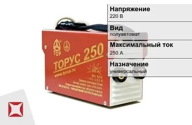 Сварочный аппарат Торус 250 А универсальный в Талдыкоргане